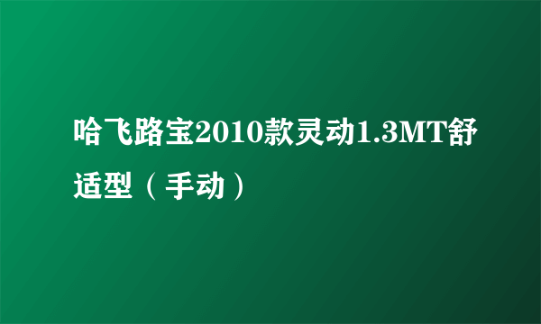 哈飞路宝2010款灵动1.3MT舒适型（手动）