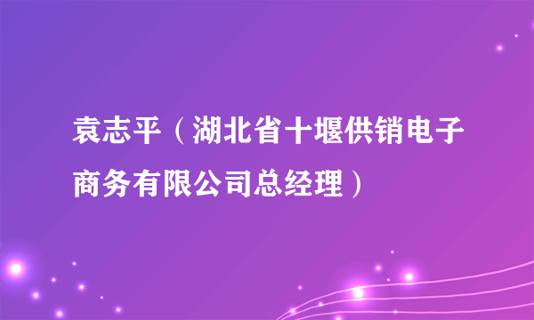 袁志平（湖北省十堰供销电子商务有限公司总经理）