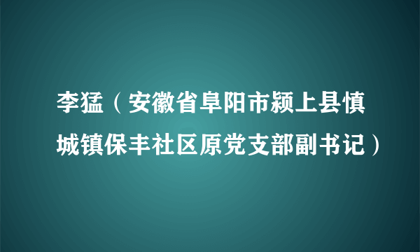 李猛（安徽省阜阳市颍上县慎城镇保丰社区原党支部副书记）