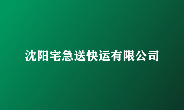 沈阳宅急送快运有限公司