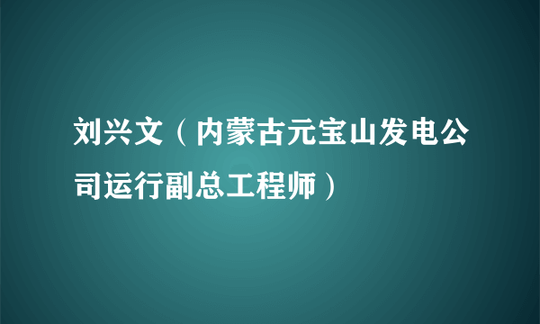 刘兴文（内蒙古元宝山发电公司运行副总工程师）