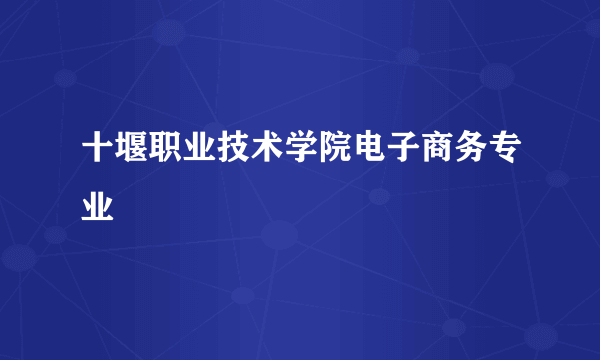 十堰职业技术学院电子商务专业