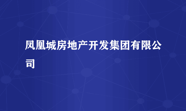 凤凰城房地产开发集团有限公司