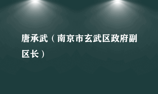 唐承武（南京市玄武区政府副区长）