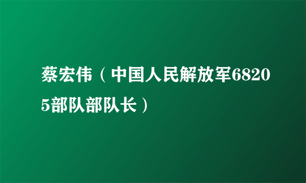 蔡宏伟（中国人民解放军68205部队部队长）