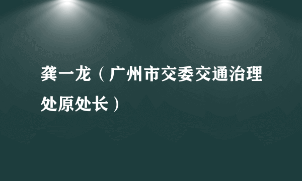 龚一龙（广州市交委交通治理处原处长）