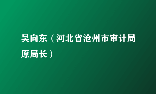 吴向东（河北省沧州市审计局原局长）