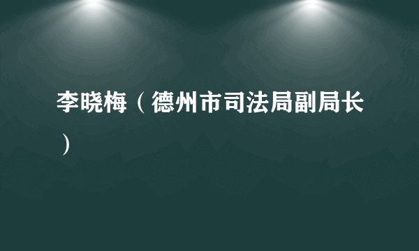 李晓梅（德州市司法局副局长）