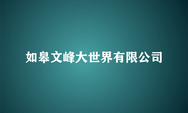 如皋文峰大世界有限公司