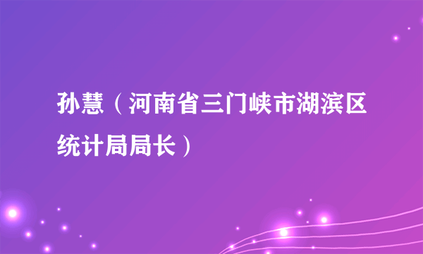 孙慧（河南省三门峡市湖滨区统计局局长）