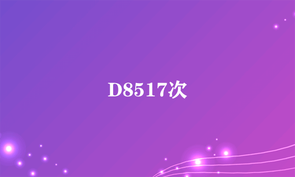 D8517次