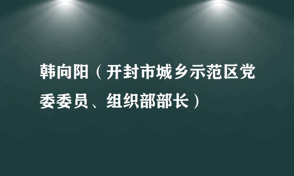 韩向阳（开封市城乡示范区党委委员、组织部部长）