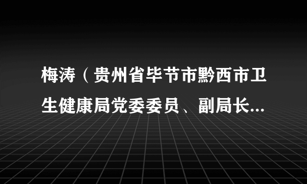 梅涛（贵州省毕节市黔西市卫生健康局党委委员、副局长、市疾控中心主任）