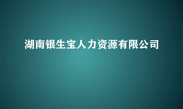 湖南银生宝人力资源有限公司