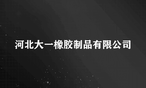 河北大一橡胶制品有限公司