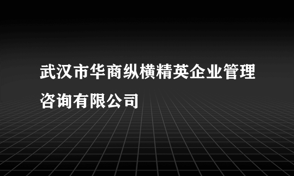 武汉市华商纵横精英企业管理咨询有限公司