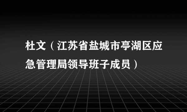 杜文（江苏省盐城市亭湖区应急管理局领导班子成员）