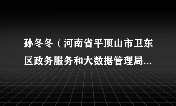 孙冬冬（河南省平顶山市卫东区政务服务和大数据管理局党组成员、副局长）