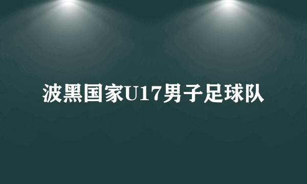 波黑国家U17男子足球队