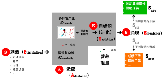 主动健康