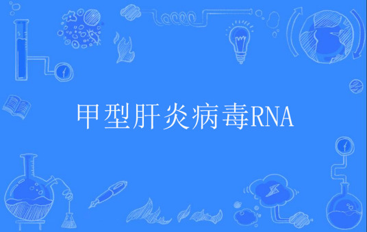 甲型肝炎病毒RNA