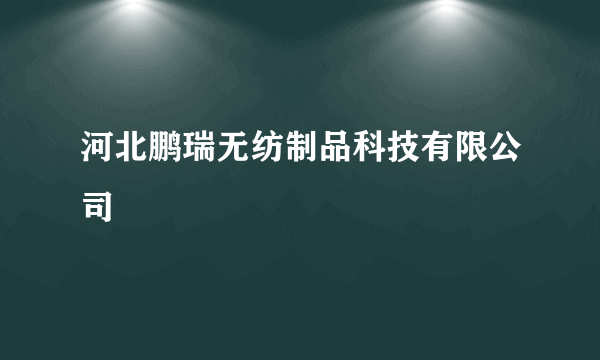 河北鹏瑞无纺制品科技有限公司