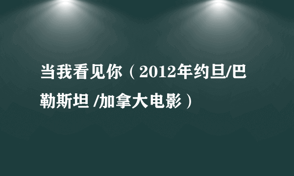 当我看见你（2012年约旦/巴勒斯坦 /加拿大电影）