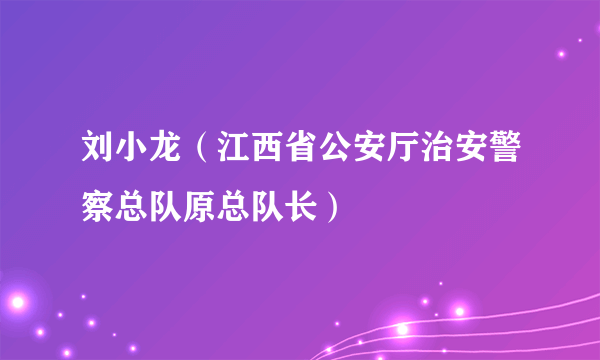 刘小龙（江西省公安厅治安警察总队原总队长）