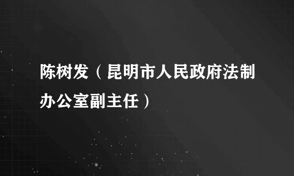 陈树发（昆明市人民政府法制办公室副主任）