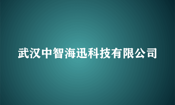 武汉中智海迅科技有限公司