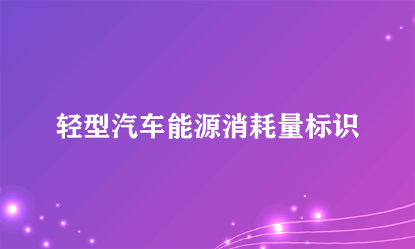 轻型汽车能源消耗量标识