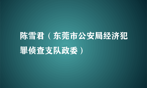 陈雪君（东莞市公安局经济犯罪侦查支队政委）