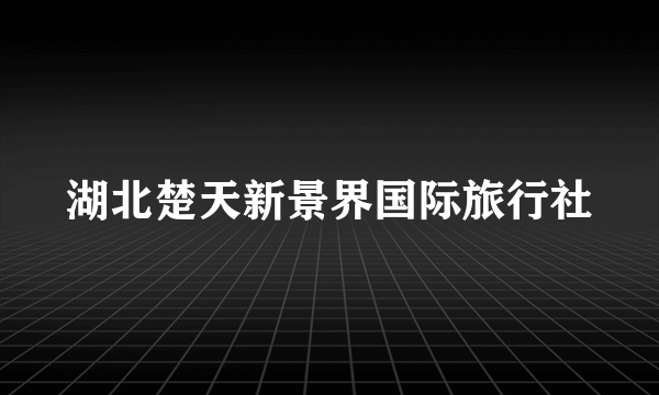 湖北楚天新景界国际旅行社