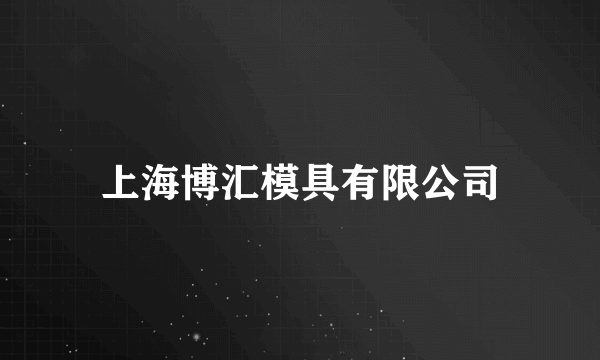 上海博汇模具有限公司