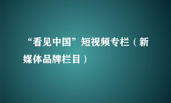 “看见中国”短视频专栏（新媒体品牌栏目）