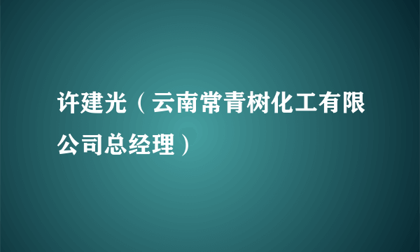 许建光（云南常青树化工有限公司总经理）