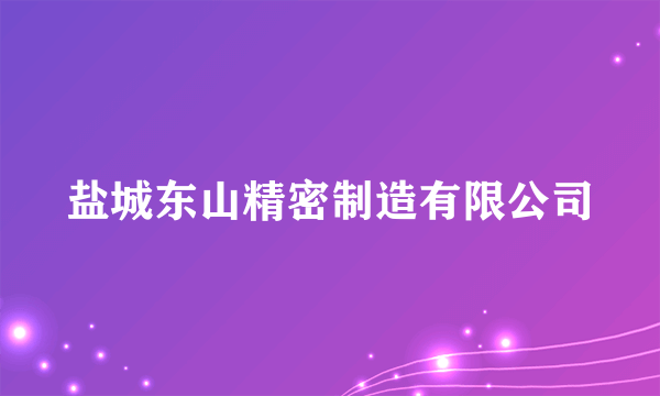 盐城东山精密制造有限公司