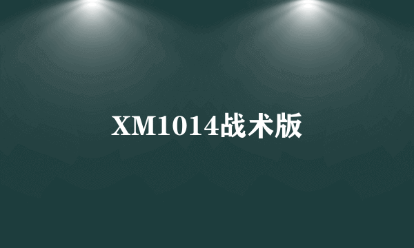 XM1014战术版