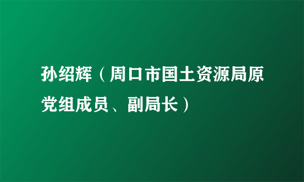 孙绍辉（周口市国土资源局原党组成员、副局长）