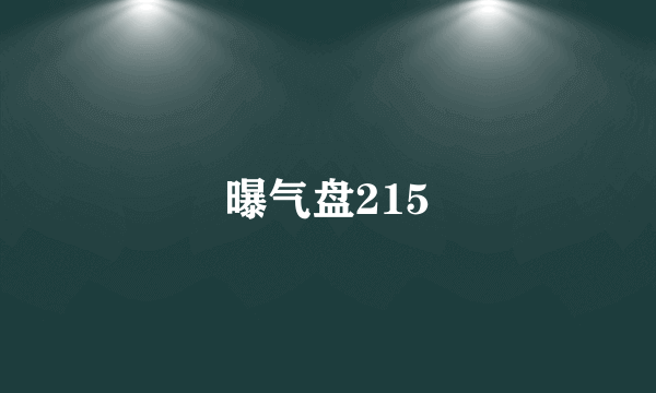 曝气盘215