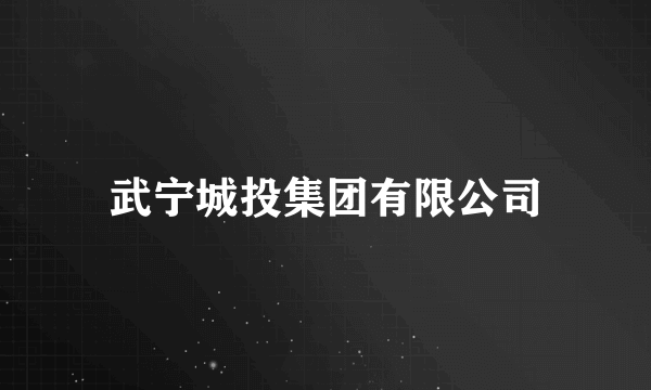 武宁城投集团有限公司