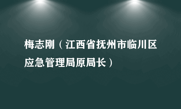 梅志刚（江西省抚州市临川区应急管理局原局长）