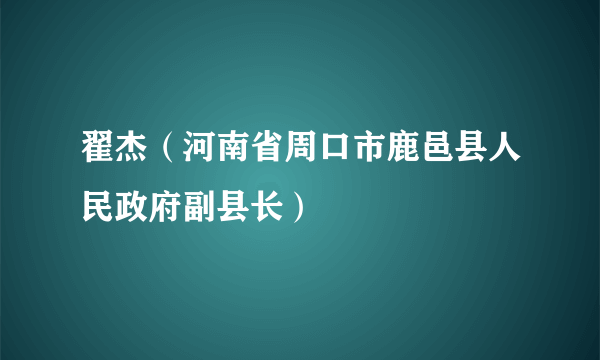 翟杰（河南省周口市鹿邑县人民政府副县长）