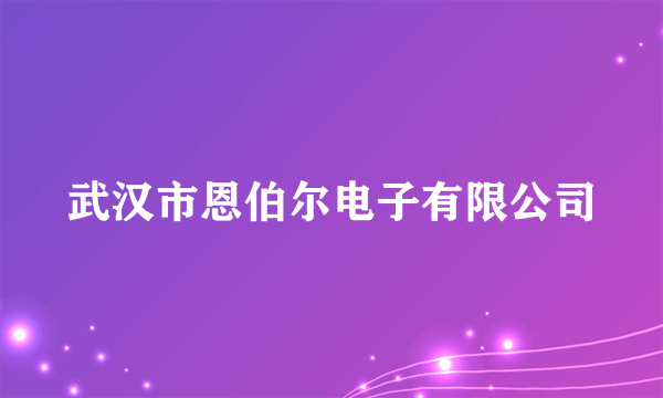 武汉市恩伯尔电子有限公司