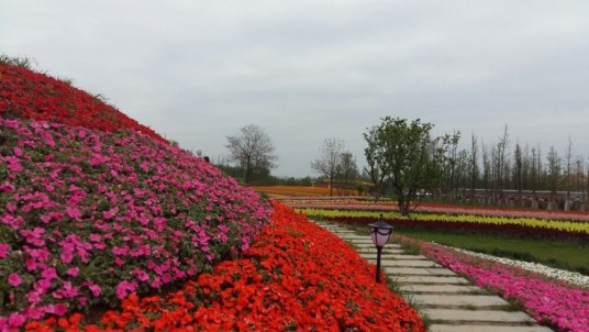 马可波罗花世界景区