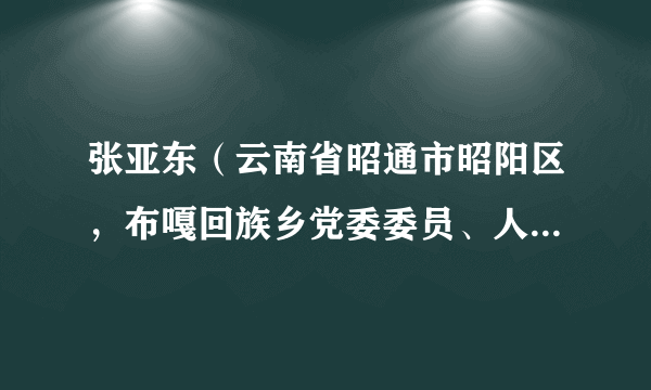 张亚东（云南省昭通市昭阳区，布嘎回族乡党委委员、人大主席）