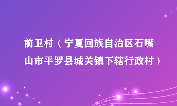 前卫村（宁夏回族自治区石嘴山市平罗县城关镇下辖行政村）