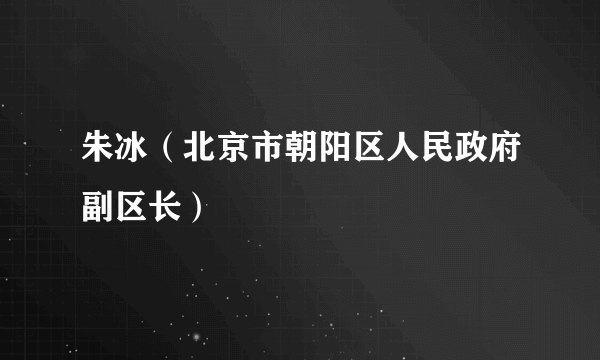 朱冰（北京市朝阳区人民政府副区长）