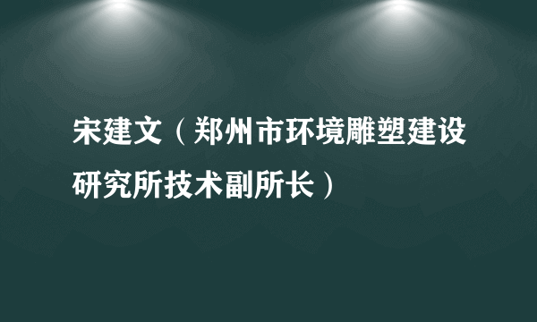 宋建文（郑州市环境雕塑建设研究所技术副所长）