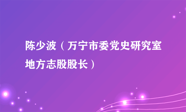 陈少波（万宁市委党史研究室地方志股股长）